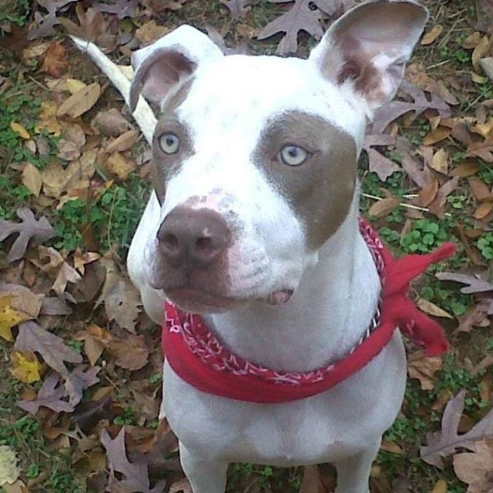 Meet your Posher, Lynn